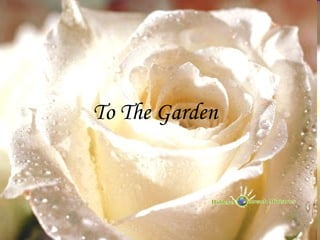 To The Garden
 