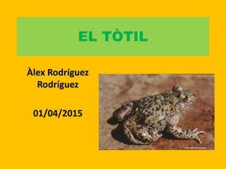 EL TÒTIL
Àlex Rodríguez
Rodríguez
01/04/2015
 