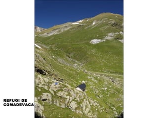 REFUGI DE
COMADEVACA