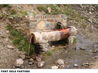 FONT DELS PASTORS