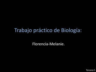 Trabajo práctico de Biología:

       Florencia-Melanie.




                                Tercero C.
 