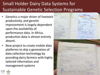 Small Holder Dairy Data Systems for
Sustainable Genetic Selection Programs
• Genetics a major driver of livestock
productivity, and genetic
improvement is largely dependent
upon the availability of
performance data. In Africa,
production data is almost entirely
absent.
• New project to create mobile data
platforms to skip a generation of
data collection technology by
providing dairy farmers with highly
tailored information and
management systems
 