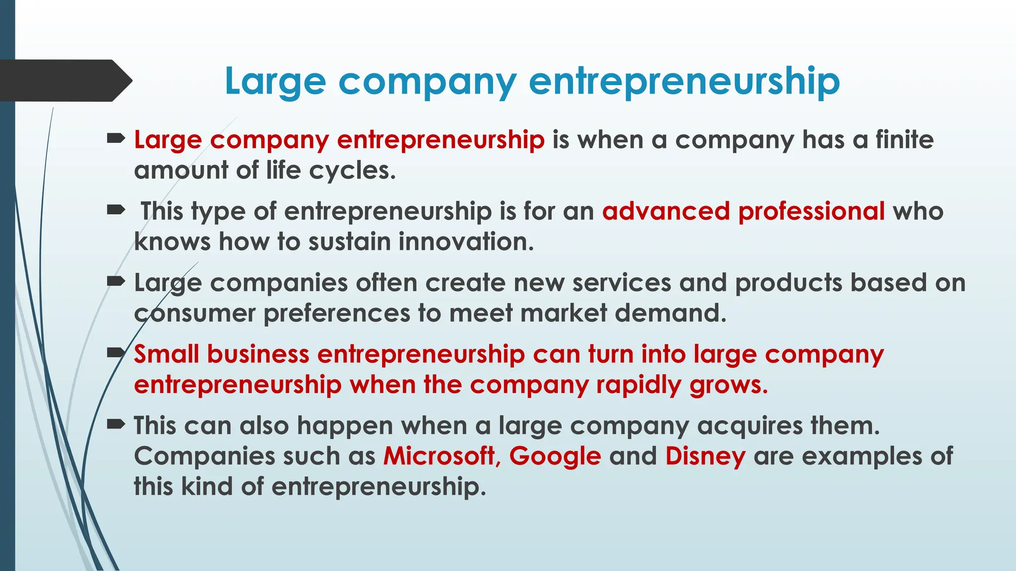 Large company entrepreneurship
 Large company entrepreneurship is when a company has a finite
amount of life cycles.
 This type of entrepreneurship is for an advanced professional who
knows how to sustain innovation.
 Large companies often create new services and products based on
consumer preferences to meet market demand.
 Small business entrepreneurship can turn into large company
entrepreneurship when the company rapidly grows.
 This can also happen when a large company acquires them.
Companies such as Microsoft, Google and Disney are examples of
this kind of entrepreneurship.
 
