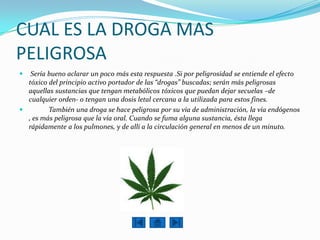 CUAL ES LA DROGA MAS
PELIGROSA
  Sería bueno aclarar un poco más esta respuesta .Si por peligrosidad se entiende el efecto
  tóxico del principio activo portador de las “drogas” buscadas; serán más peligrosas
  aquellas sustancias que tengan metabólicos tóxicos que puedan dejar secuelas –de
  cualquier orden- o tengan una dosis letal cercana a la utilizada para estos fines.
        También una droga se hace peligrosa por su vía de administración, la vía endógenos
  , es más peligrosa que la vía oral. Cuando se fuma alguna sustancia, ésta llega
  rápidamente a los pulmones, y de allí a la circulación general en menos de un minuto.
 