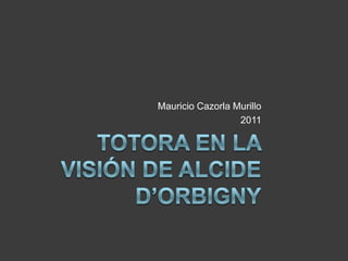 Mauricio Cazorla Murillo
2011

 