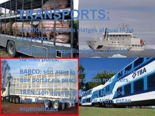 TRANSPORTS: CAMIÓ: són aquells viatges al qual hi ha pocs porcs.  TRAILER: són aquells viatges al qual hi ha més porcs. BARCO: són aquells viatges al qual tenim que portar els porcs a països mariners. TREN: són aquells viatges al qual són molt llargs i molt llunys. Els trens estan especialitzats 