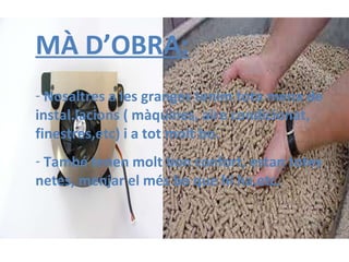 MÀ D’OBRA: Nosaltres a les granges tenim tota mena de instal.lacions ( màquines, aire condicionat, finestres,etc) i a tot molt bo. També tenen molt bon confort, estan totes netes, menjar el més bo que hi ha,etc. 