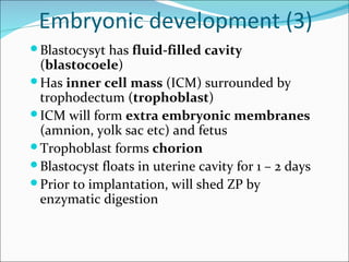 Embryonic development (3)
 Blastocysyt has fluid-filled cavity
  (blastocoele)
 Has inner cell mass (ICM) surrounded by
  trophodectum (trophoblast)
 ICM will form extra embryonic membranes
  (amnion, yolk sac etc) and fetus
 Trophoblast forms chorion
 Blastocyst floats in uterine cavity for 1 – 2 days
 Prior to implantation, will shed ZP by
  enzymatic digestion
 