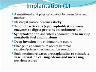 Implantation (1)
 A nutritional and physical contact between fetus and
  mother
 Blastocyst surface becomes sticky
 Trophoblastic cells (cytotrophoblast) releases
  enzymes to digest proteins on endometrium
 Syncytiotrophoblast enters endometrium to suck up
  metabolic fuel and nutrients
 Deep invasion into endometrium occurs
 Change to endometrium occurs (stromal
  reaction/primary decidualization reaction)
 Endometrium releases prostaglandins to stimulate
  vascularization causing edema and increasing
  nutrient stores
 