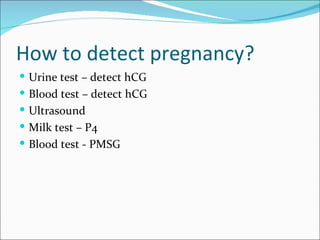 How to detect pregnancy?
 Urine test – detect hCG
 Blood test – detect hCG
 Ultrasound
 Milk test – P4
 Blood test - PMSG
 
