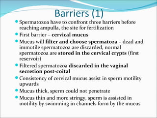 Barriers (1)
 Spermatozoa have to confront three barriers before
  reaching ampulla, the site for fertilization
 First barrier – cervical mucus
 Mucus will filter and choose spermatoza – dead and
  immotile spermatozoa are discarded, normal
  spermatozoa are stored in the cervical crypts (first
  reservoir)
 Filtered spermatozoa discarded in the vaginal
  secretion post-coital
 Consistency of cervical mucus assist in sperm motility
  upwards
 Mucus thick, sperm could not penetrate
 Mucus thin and more stringy, sperm is assisted in
  motility by swimming in channels form by the mucus
 