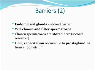 Barriers (2)
 Endometrial glands – second barrier
 Will choose and filter spermatozoa
 Chosen spermatozoa are stored here (second
  reservoir)
 Here, capacitation occurs due to prostaglandins
  from endometrium
 