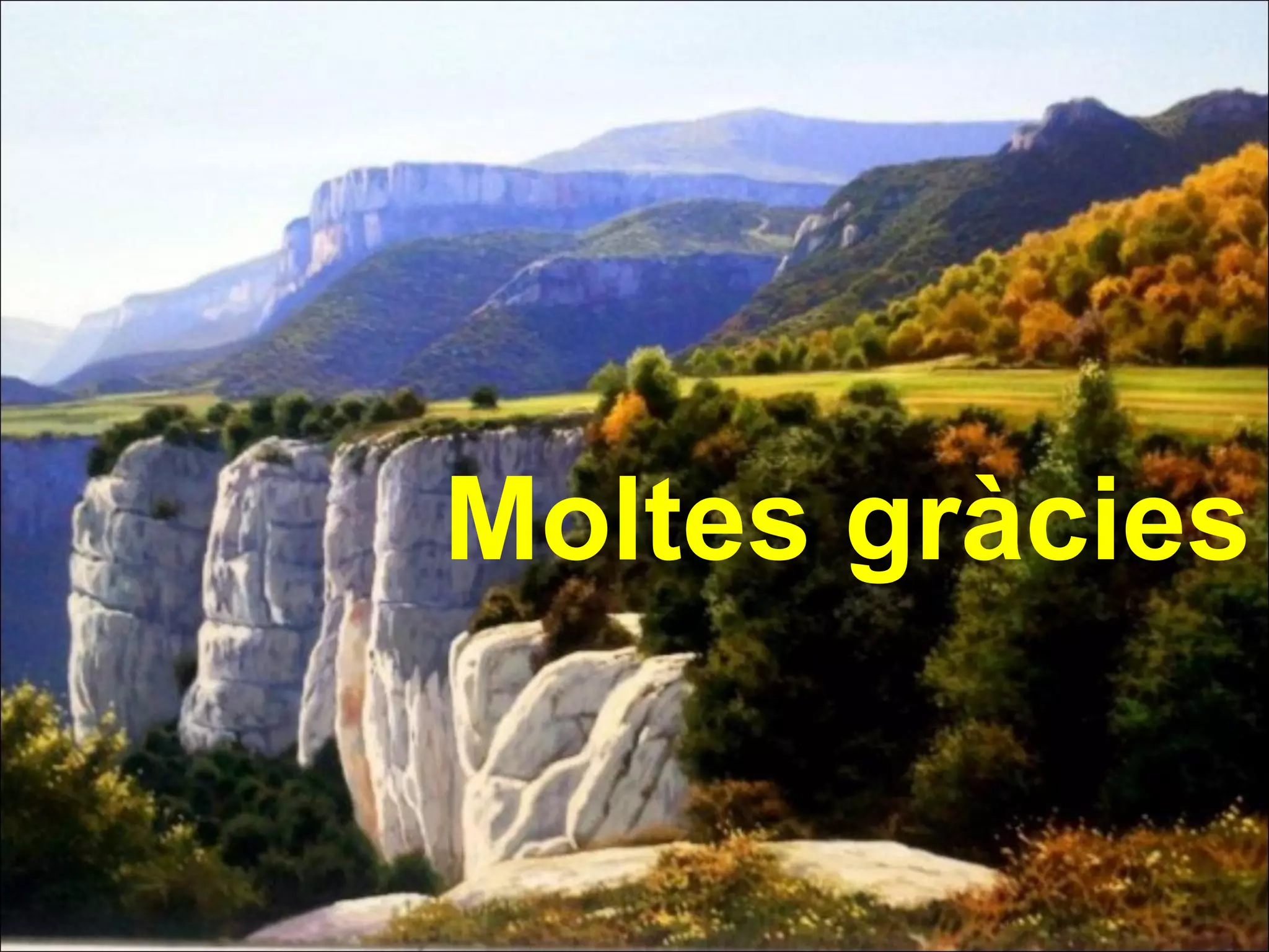 Moltes gràcies
 