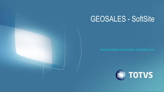 GEOSALES - SoftSite

RAISSA GOMES DOS SANTOS, FEVEREIRO 2014

 