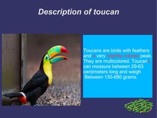 Description of toucan
Toucans are birds with feathers
and a very brightly-colored peak.
They are multicolored. Toucans
can measure between 29-63
centimeters long and weigh
Between 130-680 grams.
 