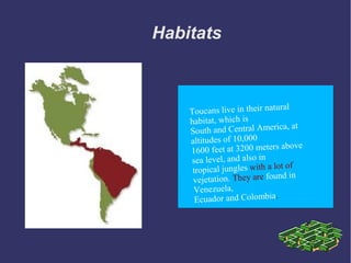 Habitats
Toucans live in their natural
habitat, which is
South and Central America, at
altitudes of 10,000
1600 feet at 3200 meters above
sea level, and also in
tropical jungles with a lot of
vejetation. They are found in
Venezuela,
Ecuador and Colombia.
 