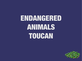 ENDANGERED
ANIMALS
TOUCAN
 