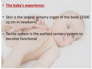 • The baby's experience:
• Skin is the largest sensory organ of the body (2500
sq cm in newborn)
• Tactile system is the earliest sensory system to
become functional
 
