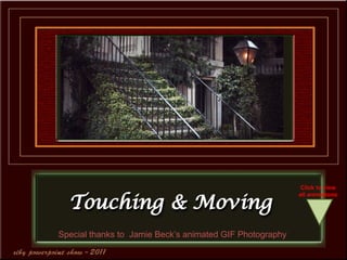 Special thanks to  Jamie Beck’s animated GIF Photography Click to view all animations 