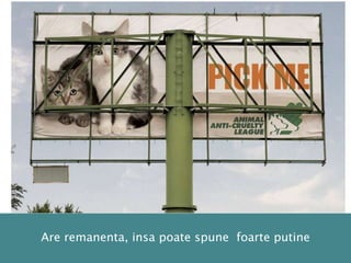 	Era celmaiaproape de consumator (panasaapara net-ul)