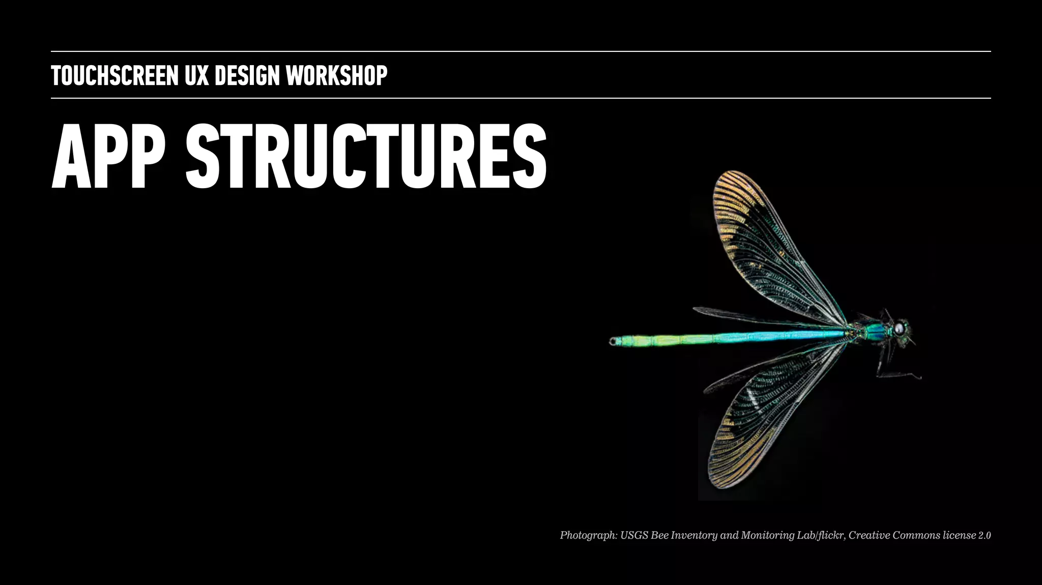 APP STRUCTURES
TOUCHSCREEN UX DESIGN WORKSHOP
Photograph: USGS Bee Inventory and Monitoring Lab/flickr, Creative Commons license 2.0
 