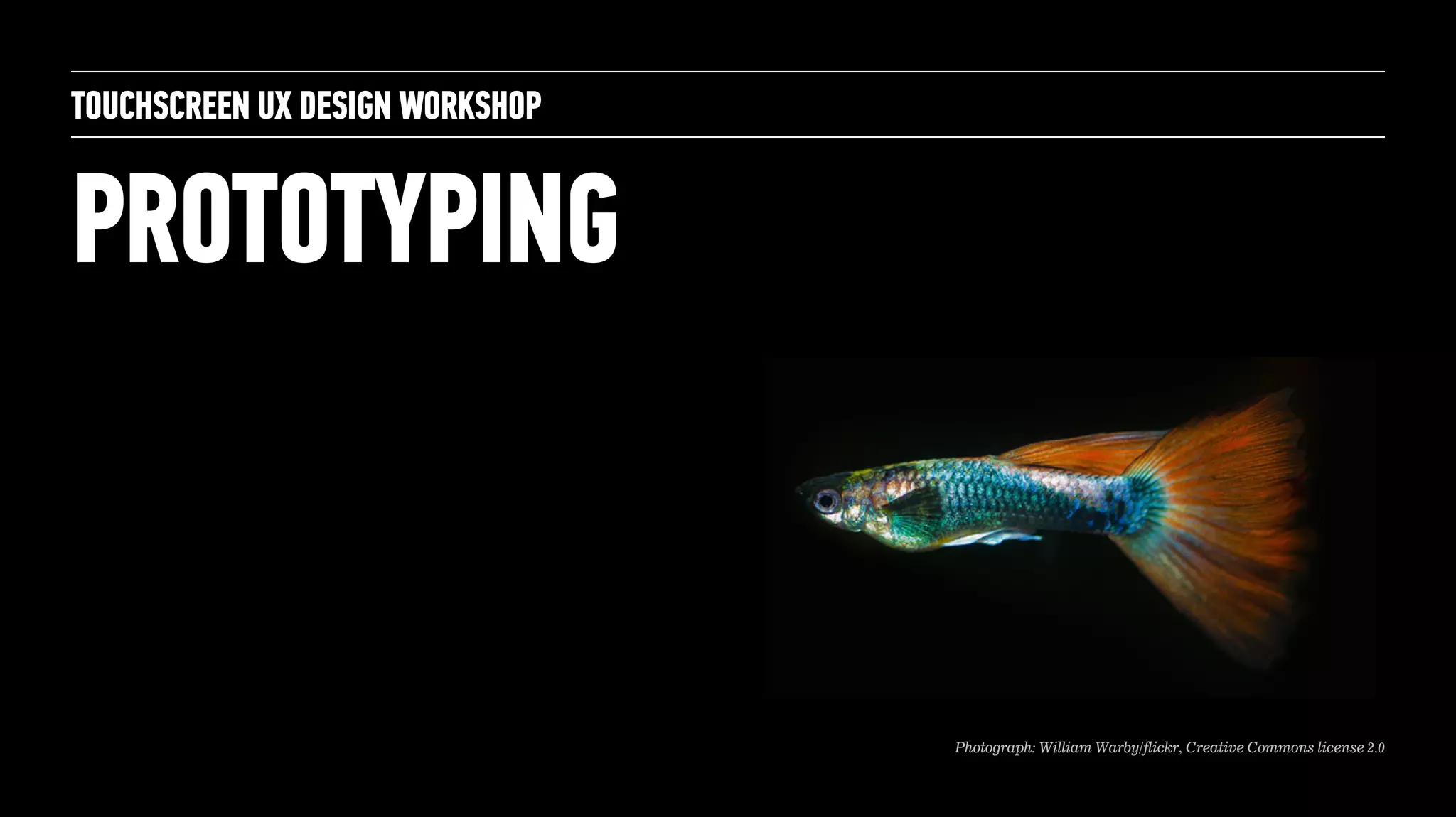 PROTOTYPING
TOUCHSCREEN UX DESIGN WORKSHOP
Photograph: William Warby/flickr, Creative Commons license 2.0
 
