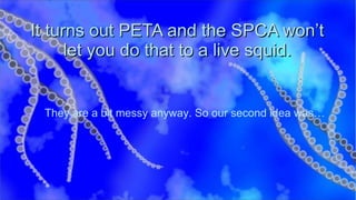 It turns out PETA and the SPCA won’t let you do that to a live squid. They are a bit messy anyway. So our second idea was… 