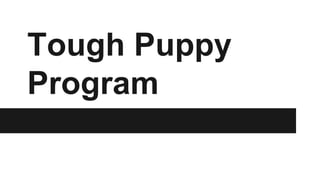 Tough Puppy 
Program 
 