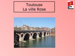 Toulouse La ville Rose 
