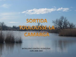 SORTIDA TOULOUSSE-LA CAMARGA BATXILLERAT CIENTÍFIC-TECNOLÒGIC CURS 2008-2009 BATXILLERAT CIENTÍFIC-TECNOLÒGIC CURS 2008-2009 