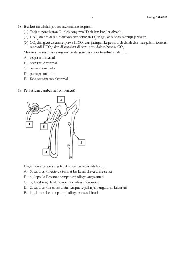 To un 2015 biologi a