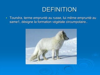 DEFINITION
   Toundra, terme emprunté au russe, lui même emprunté au
    same1, désigne la formation végétale circumpolaire..
 