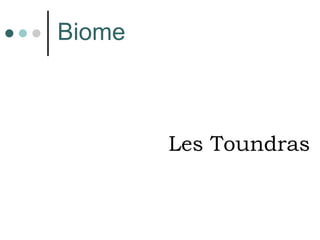 Biome Les Toundras 