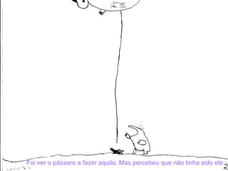 Foi ver o pássaro a fazer aquilo. Mas percebeu que não tinha sido ele. 