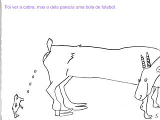 Foi ver a cabra, mas o dela parecia uma bola de futebol. 