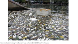 Peixes mortos boiam no lago Truc Bach, em Hanoi, no Vietnã. 22/03/2010. Foto: Kham/Reuters
 