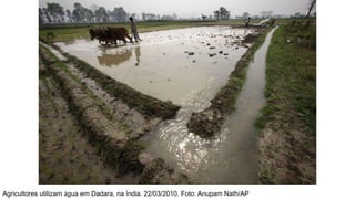 Agricultores utilizam água em Dadara, na Índia. 22/03/2010. Foto: Anupam Nath/AP
 