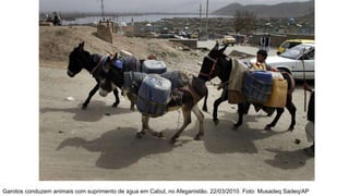 Garotos conduzem animais com suprimento de água em Cabul, no Afeganistão. 22/03/2010. Foto: Musadeq Sadeq/AP
 