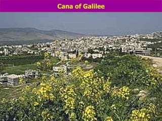Cana of Galilee 