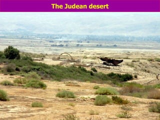 The Judean desert 