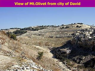 View of Mt.Olivet from city of David 