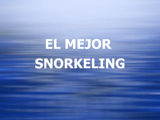 EL MEJOR  SNORKELING 