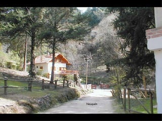 Neuquén
 