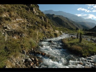 Mendoza
 