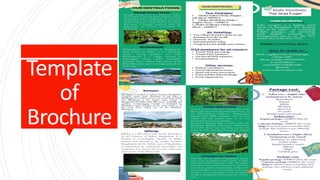 Tourchart Types Define Tour Brochure // Types// How to Prepare | PDF