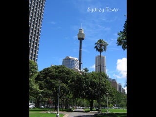 Sydney Tower
 