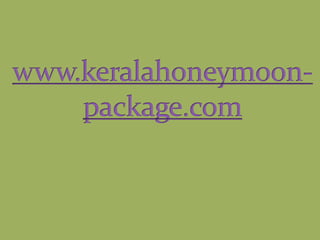 www.keralahoneymoon-package.com 