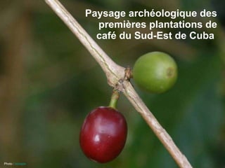 Paysage archéologique des premières plantations de café du Sud-Est de Cuba   Photo :  twicepix   