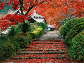Japon 