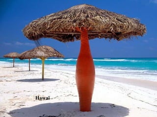 Hawaï 